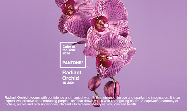 Pantone 2014: Radiant Orchid